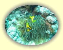 IMG_2007_05_28 14_09_36 * 2272 x 1704 * (753KB)